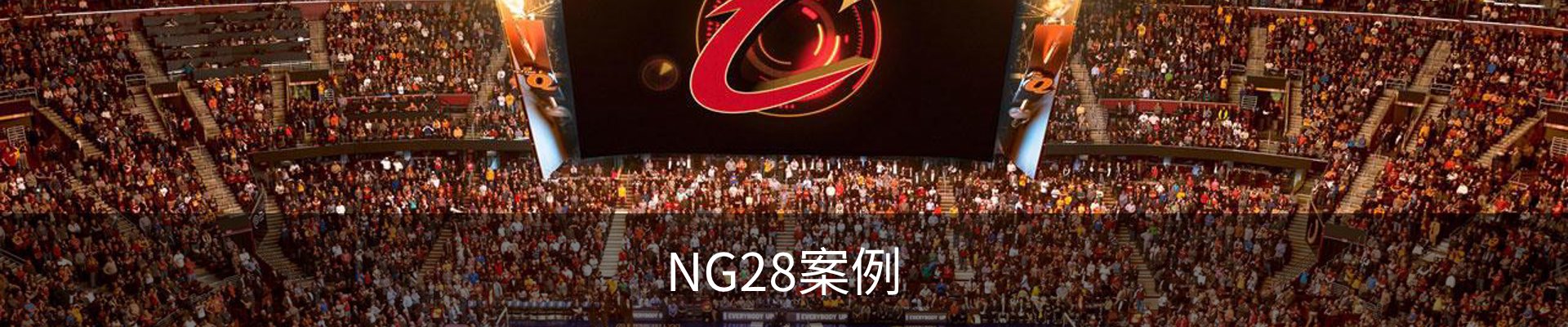 NG28案例